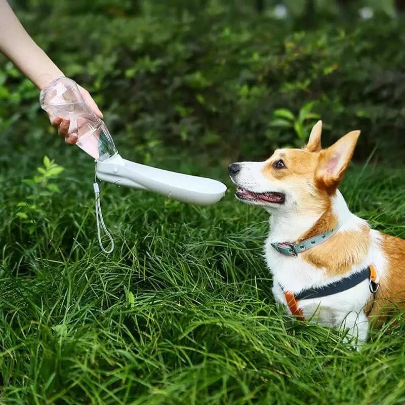 tigela portátil para cães - FlashMart