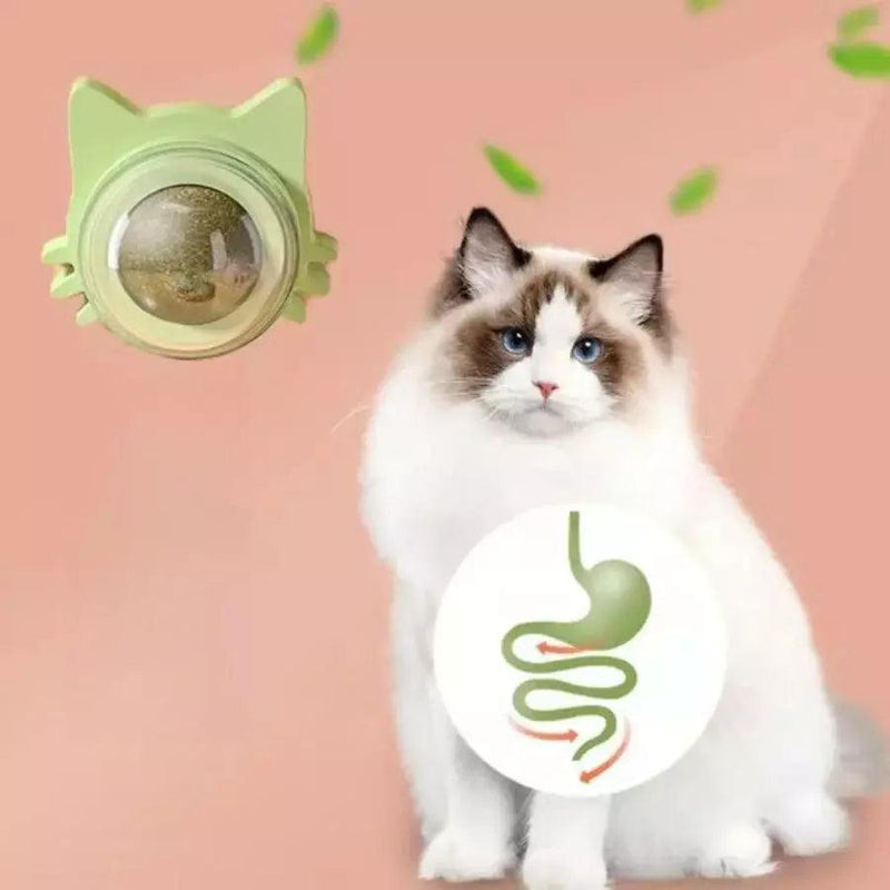 Bola rotativa para gato - FlashMart